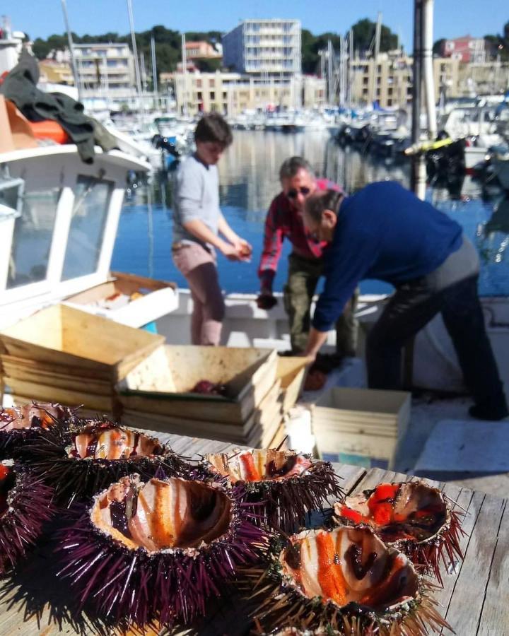 200M De La Plage ,3Mn Du Port A 50M Du Centre Ville Carry-le-Rouet Eksteriør bilde